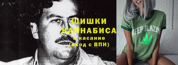 индика Пестово