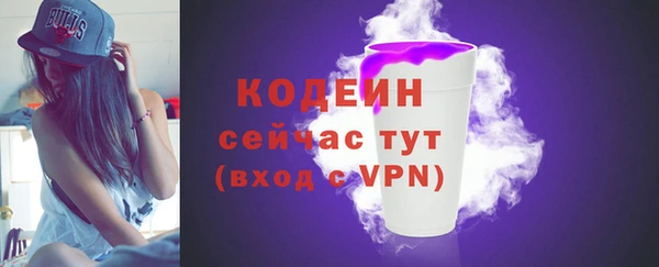 индика Пестово