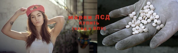 индика Переславль-Залесский