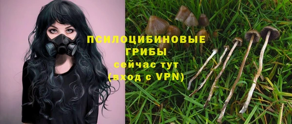 каннабис Богданович
